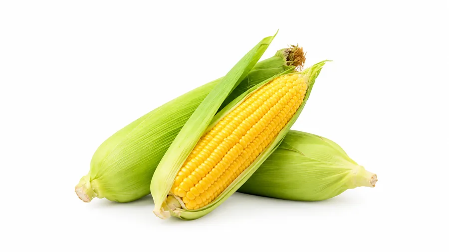 Corn / Makai