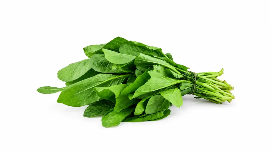 Palak / Spinach