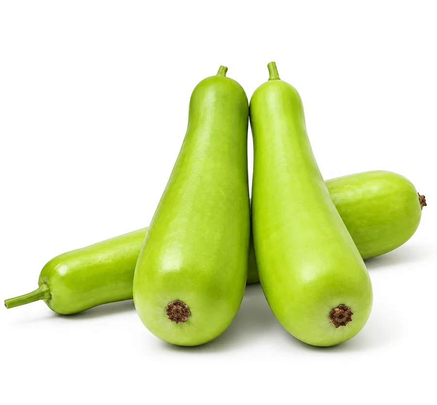 Bottle Gourd / Loki