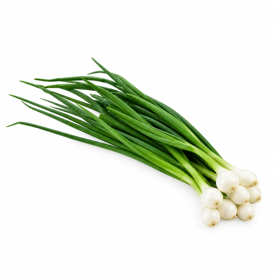 Green Onion / Hari Pyaz