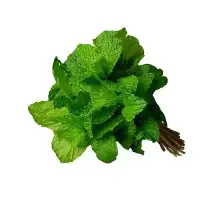 Podina / Mint